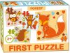 First Puzzle