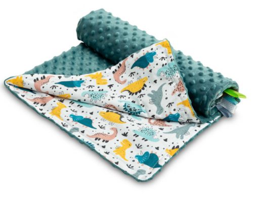 Minky pléd 75x100 cm DINO