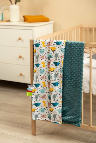 Minky pléd 75x100 cm DINO