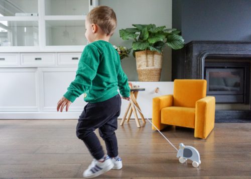 Húzható fa oroszlán